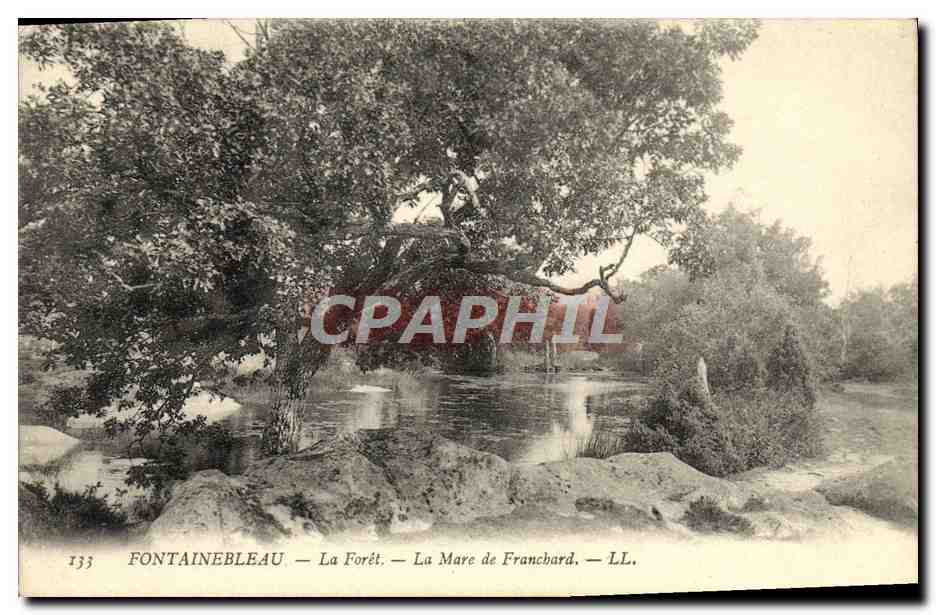 Fontainebleau — La Selva — La Mare de Francbard — LL. — n°133