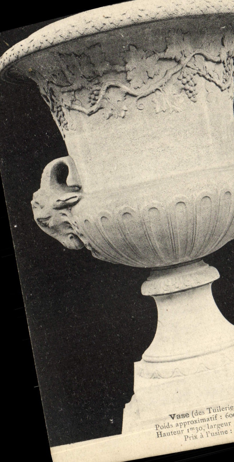 CPA Vase des Tuileries Paris