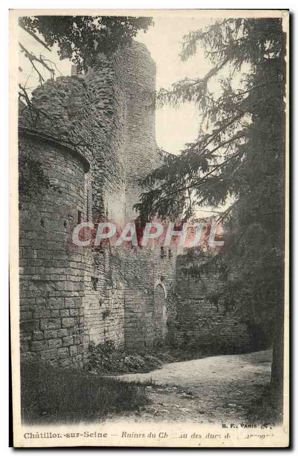 CPA Chatillon Sur Seine Ruines Du Chateau Des ducs de Bourgogne