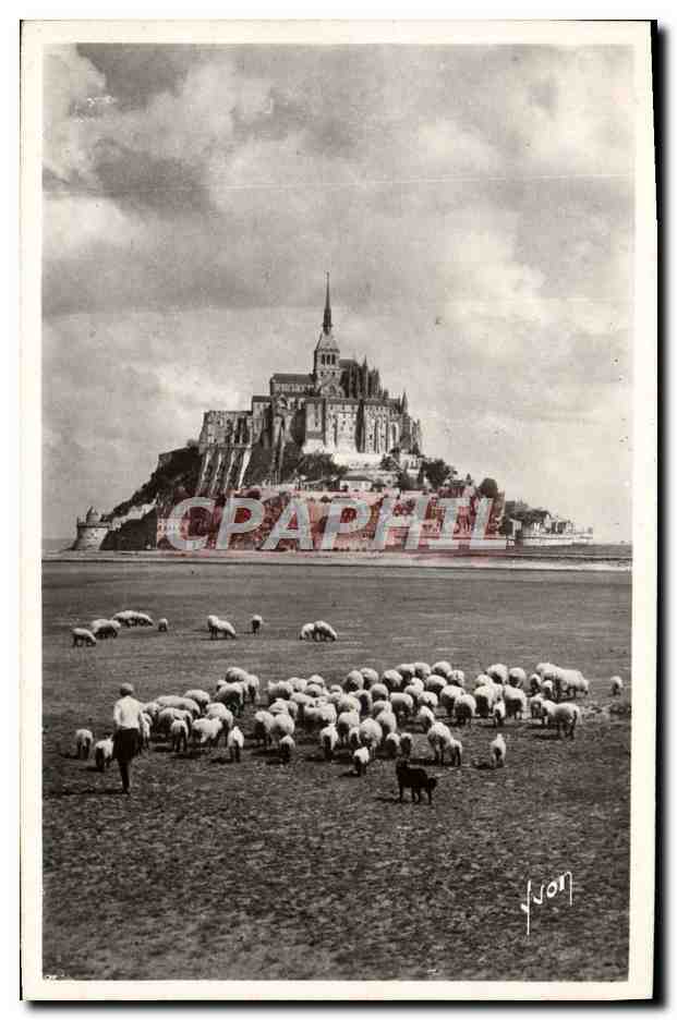 Mont Saint-Michel — vue avec troupeau de moutons — Les Éditions d'Art Martel