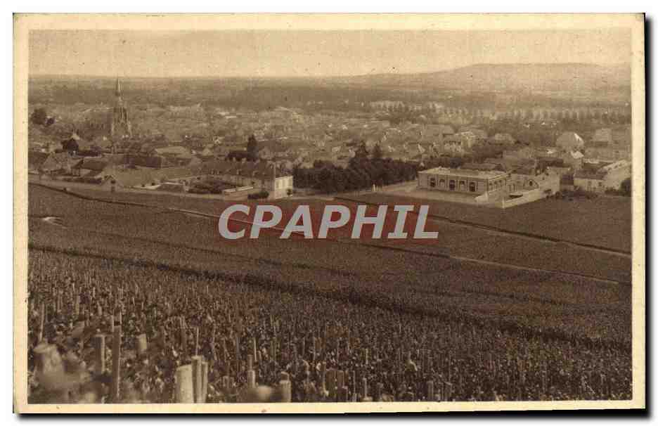 CPA Champagne Pommery & Greno Reims Vignoble d'Ay Premier cru de raisins noirs