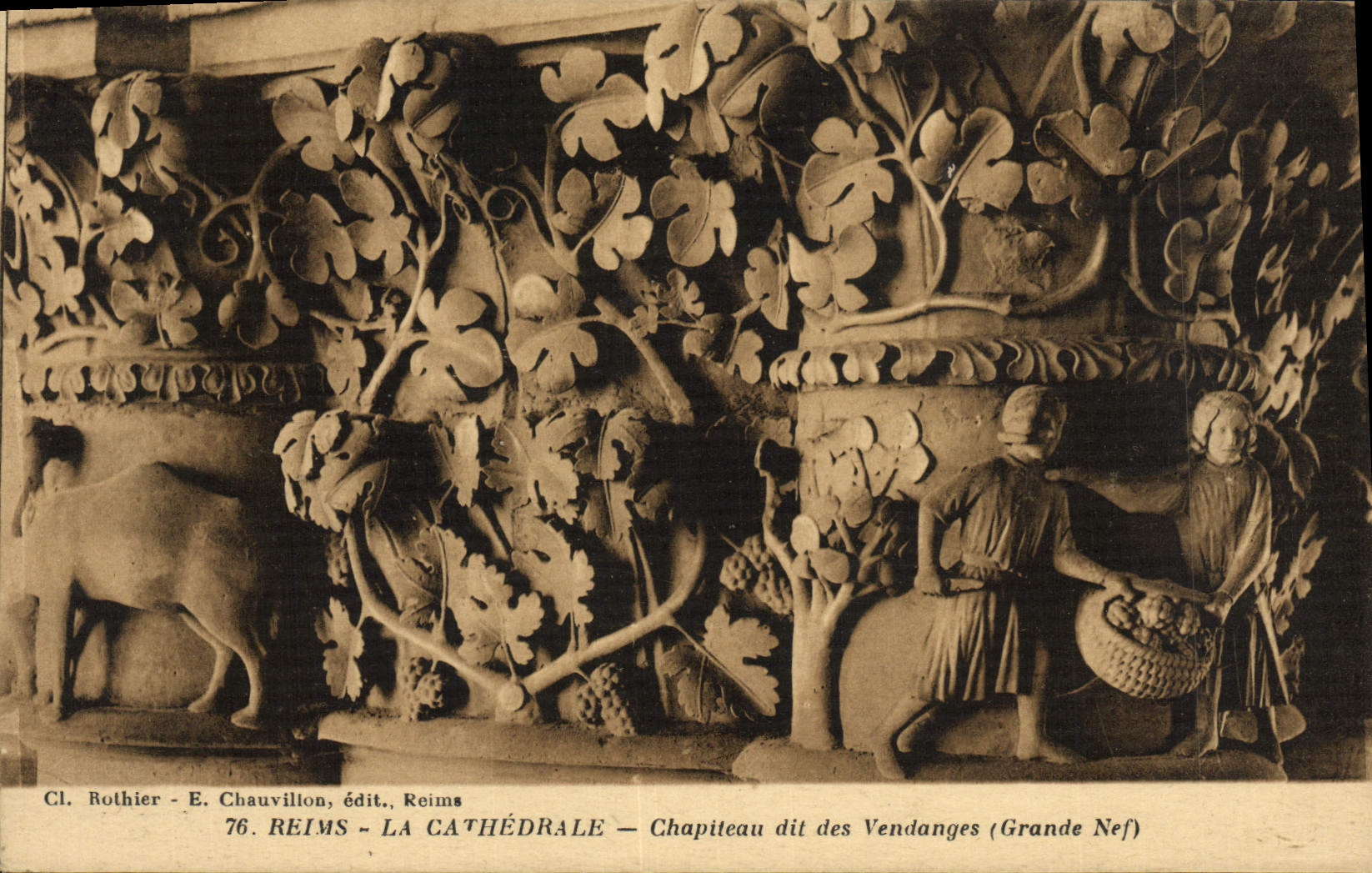 Reims - Cathédrale - Chapiteau dit des Vendanges (Grande Nef) — Cl. Rothier - E. Chauvillon, édit., Reims