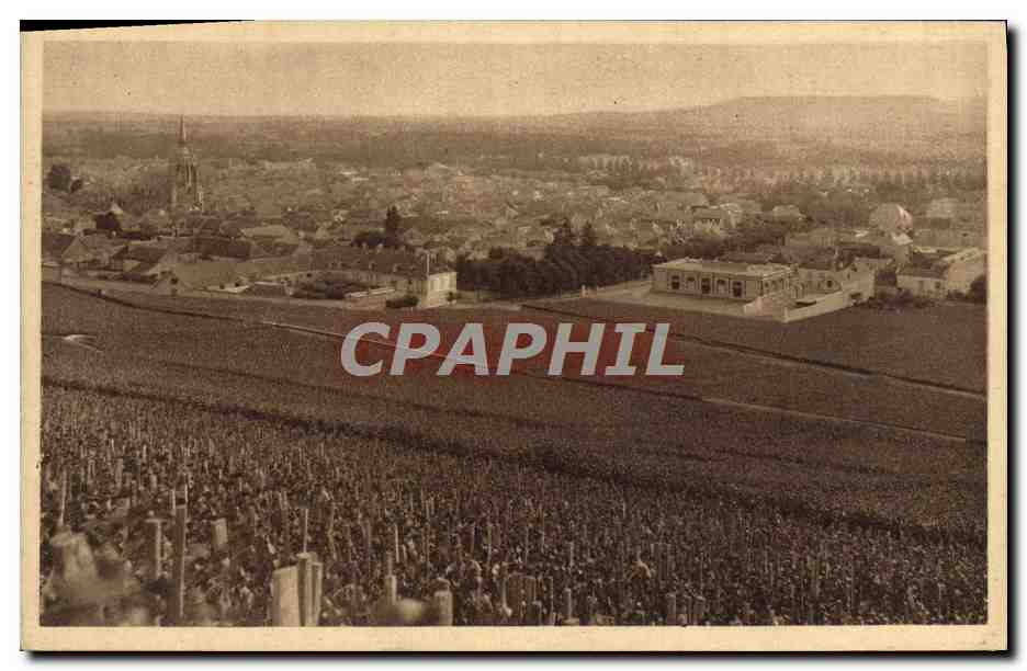 CPA Reims Collection Champagne Pommery & Greno Vignoble d'Ay Premier cru de raisins noirs 