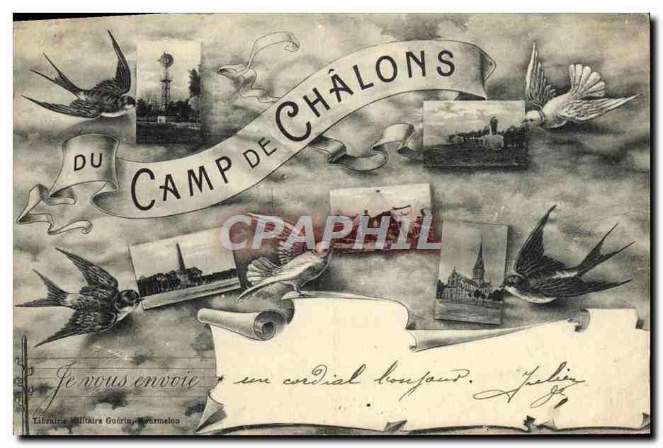 CPA Du Camp De Chalons Mourmelon Oiseaux Hirondelle