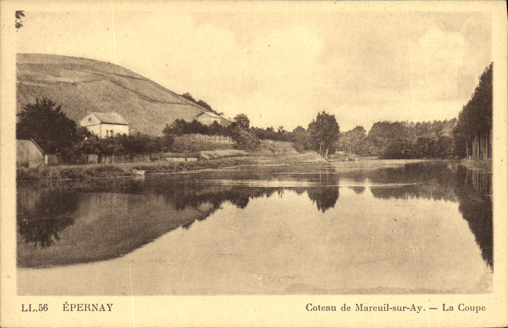 Coteau de Mareuil-sur-Ay — La Coupe — Épernay, LI.56