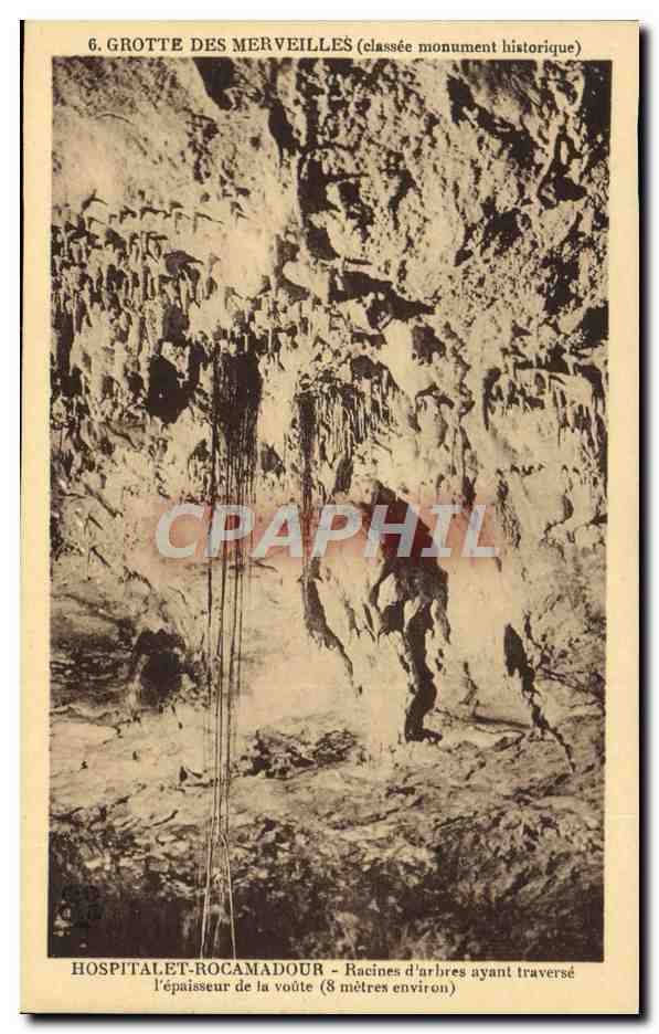 Grotte des Merveilles (classée monument historique) — Hôpitalet-Rocamadour — Racines d'arbres ayant traversé l'épaisseur de la voûte (8 mètres environ)