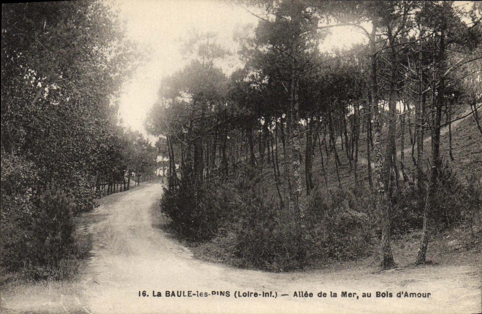 CPA La Baule Les Pins Allee De La Mer Au Bois D'amour