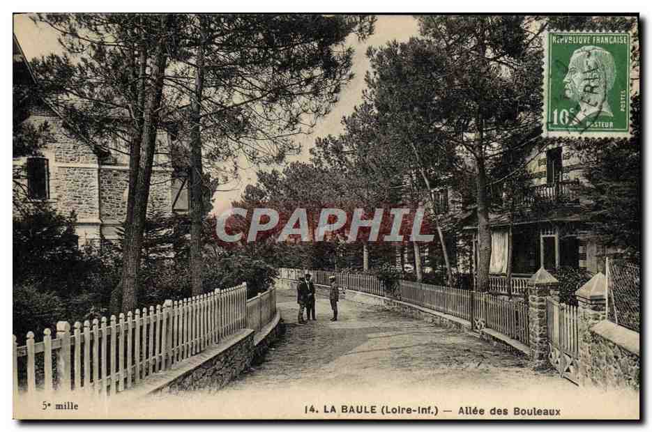 CPA La Baule Allee Des Bouleaux