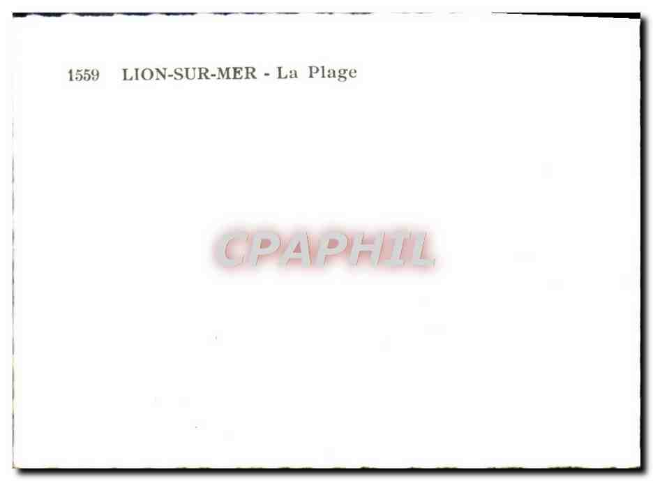 CPM Lion Sur Mer La Plage — Verso