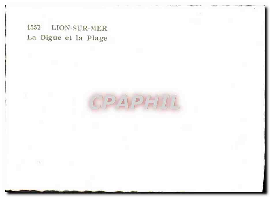 CPM Lion Sur Mer La Digue Et La Plage — Verso