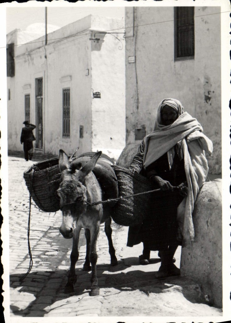 Photo Tunisie Sidi Ben Said Homme et son ane