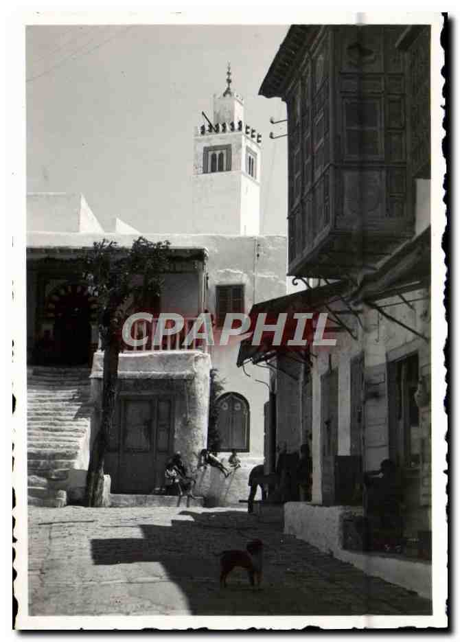 Photo Tunisie Sidi Ben SAid 