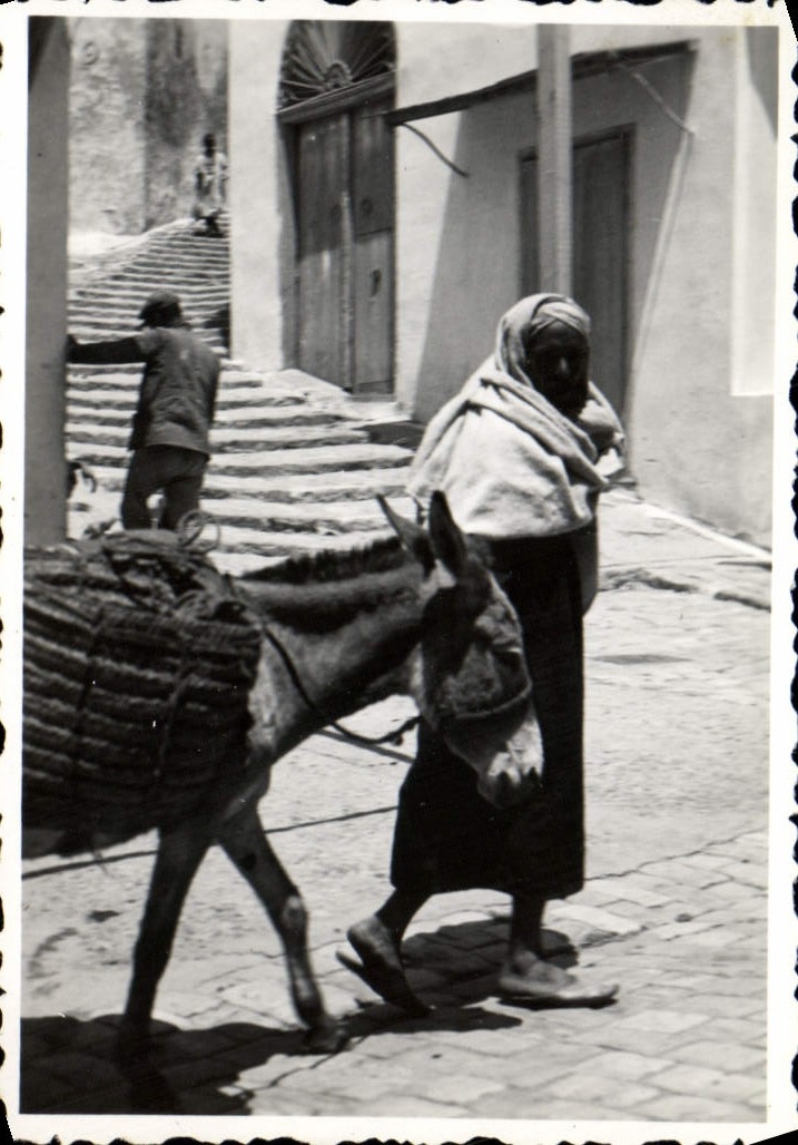 Photo Tunisie Sidi Ben Said Homme et son ane 
