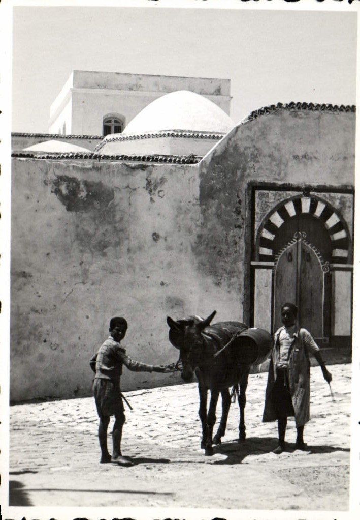 Photo Tunisie Enfants et ane