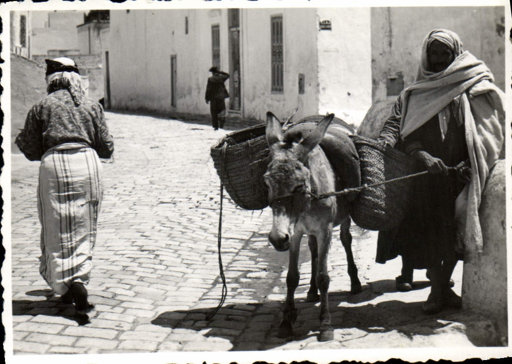 Photo Tunisie Homme et son ane