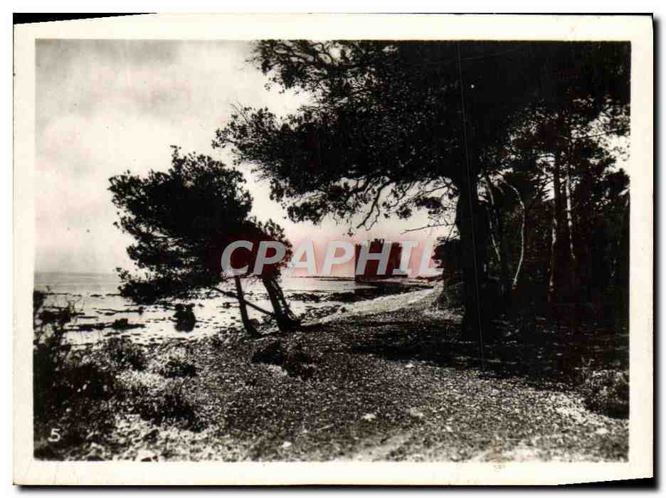CPM Excursion de la Grande Corniche