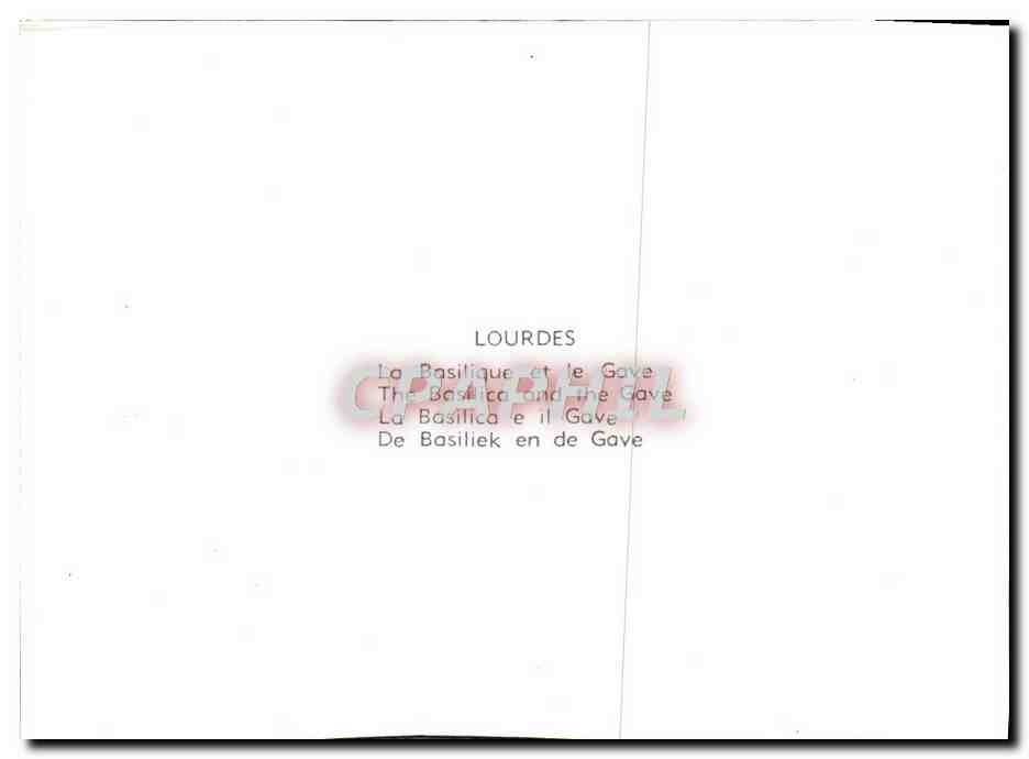 CPM Lourdes La Basilique Et Le Gave — Verso