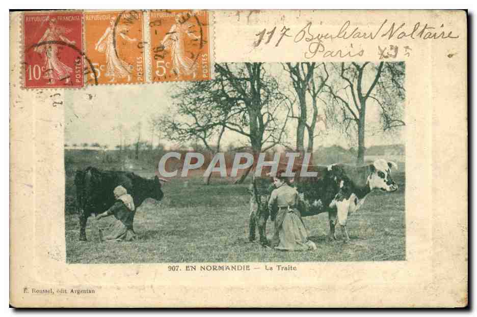 CPA En Normandie La traite Vache 