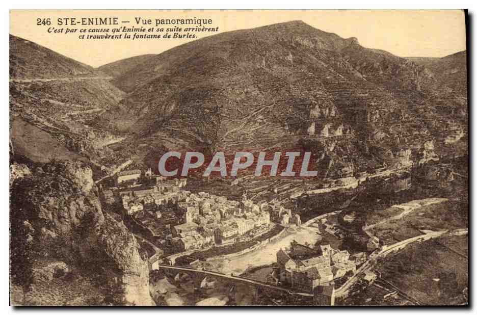 CPA Gorges du Tarn Ste Enimie Vue Panoramique
