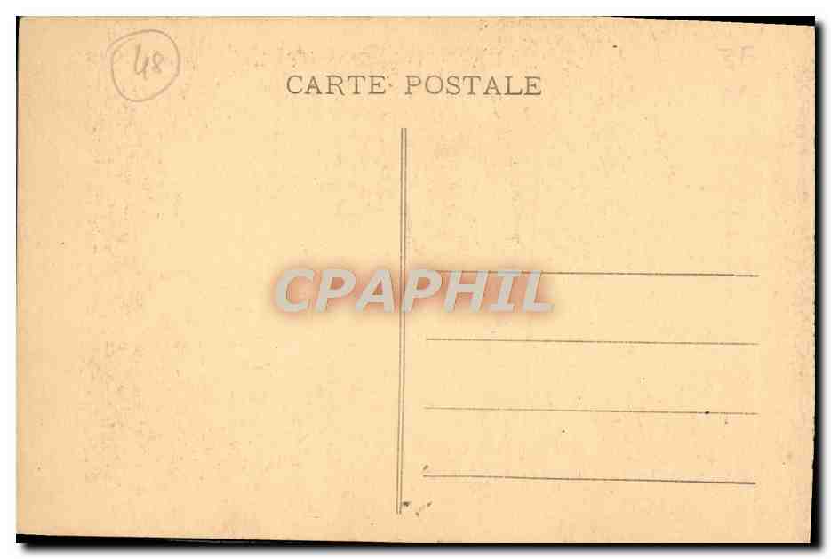 CPA Gorges Du Tarn Aven Armand Causse Mejean Detail des feuilles de cypres — Rückseite
