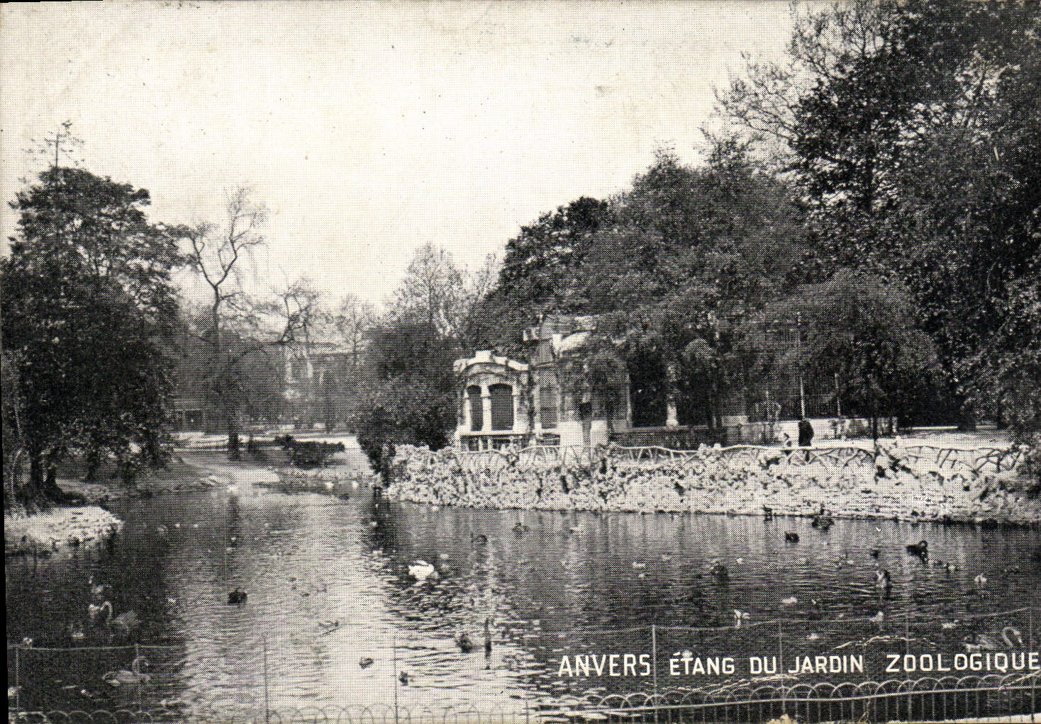 Anvers - Étang du Jardin Zoologique — éditeur non identifié, n° de série non visible