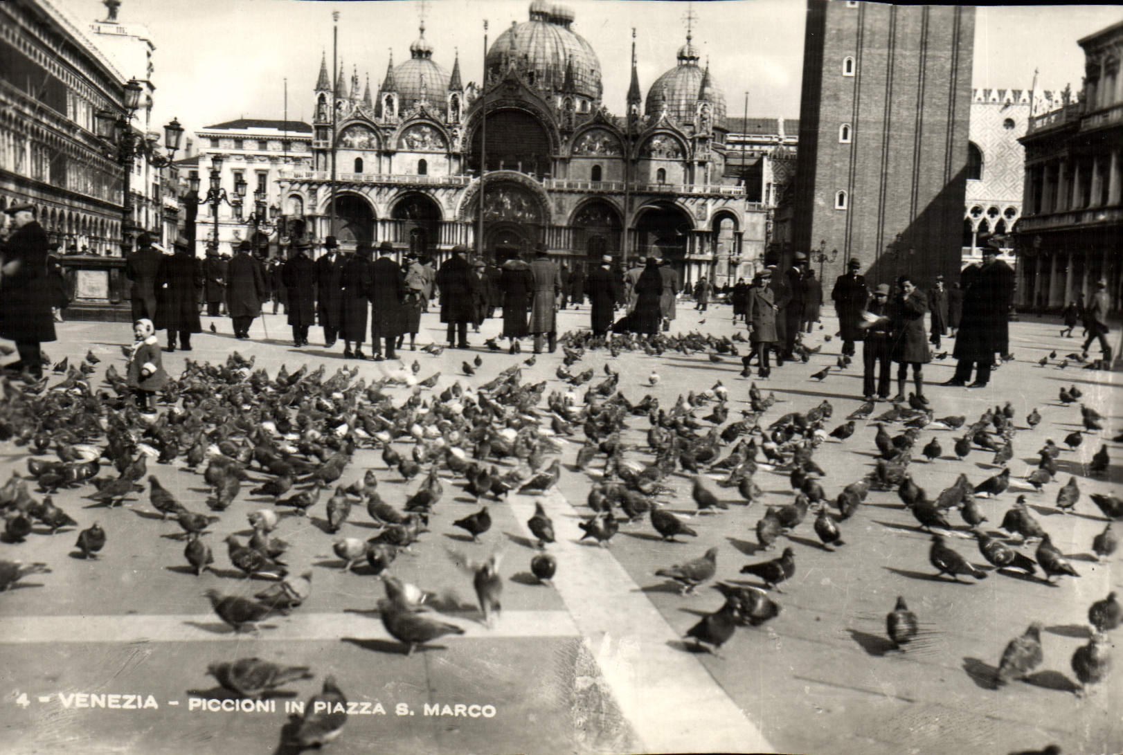 CPA Venezia Piccioni in Piazza S Marco