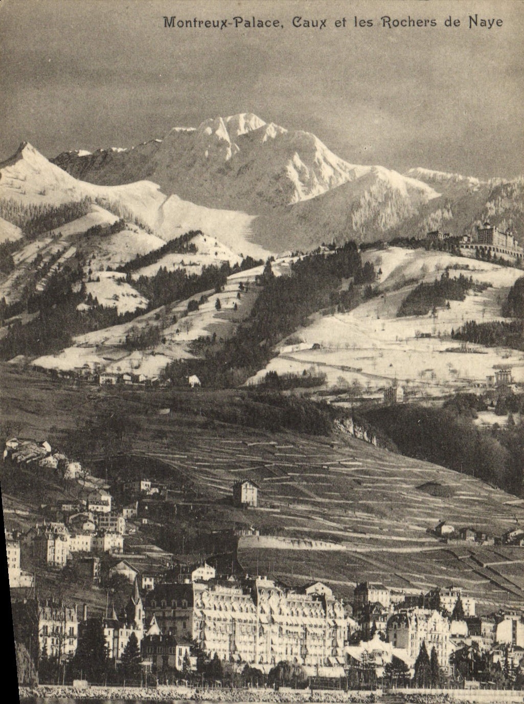 CPA Montreux Palace Caux et les Rochers de Naye