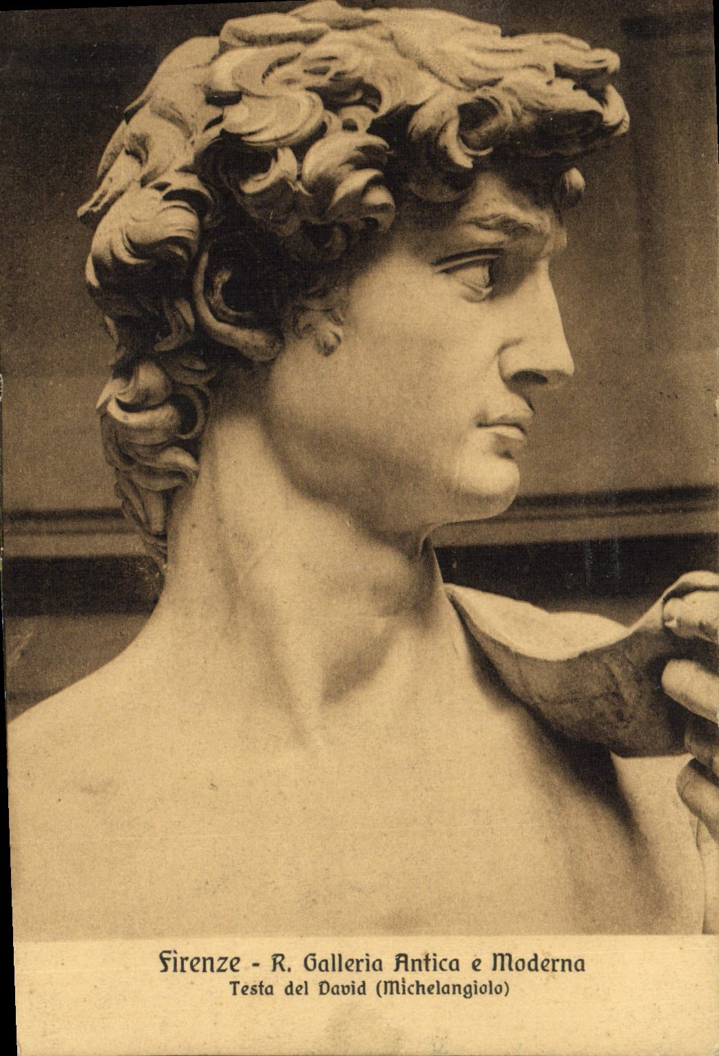 CPA Firenze Galleria Antica E Moderna Testa Del David Michelangelo