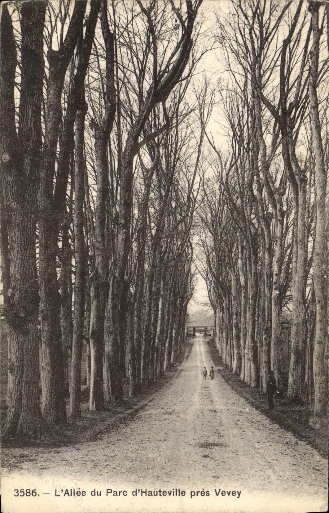 CPA L'Allee Du Parc D'Hauteville Pres Vevey