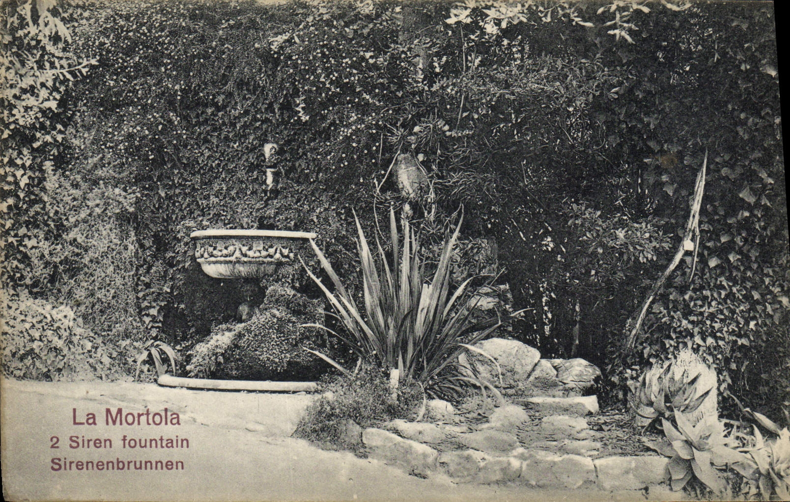 CPA La Mortola Siren Fountain Sirenenbrunnen