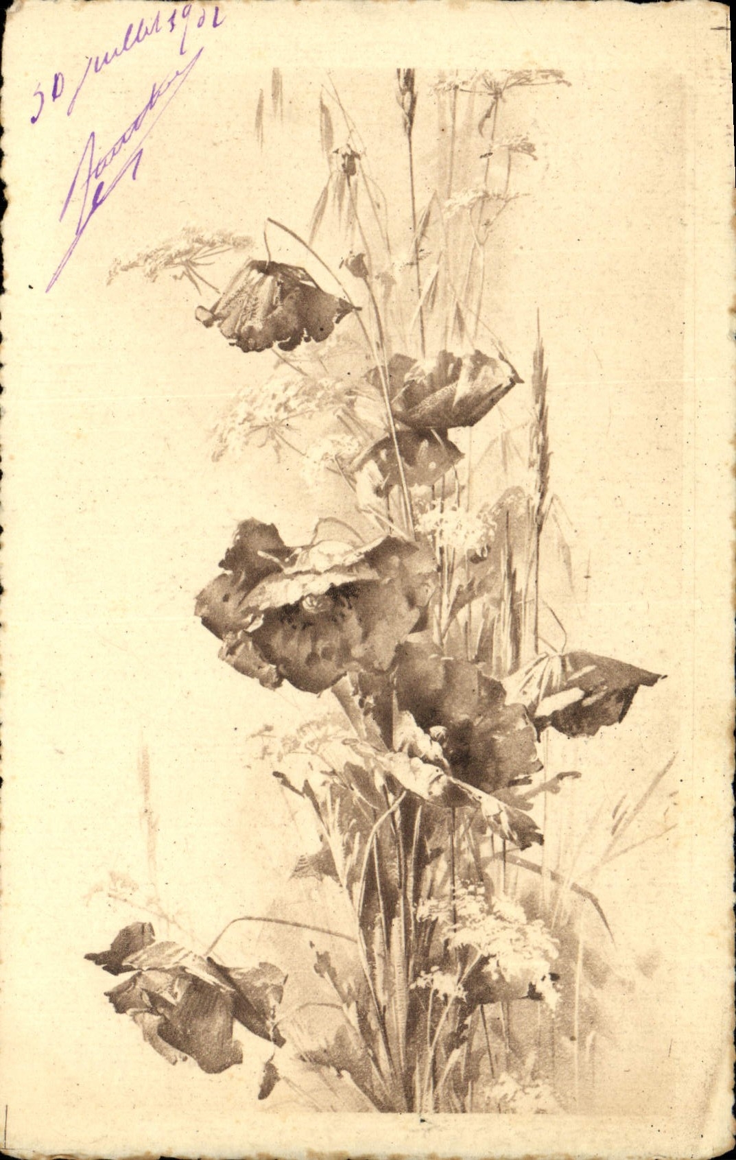 Fleurs sauvages — dessin à l'encre — S. B. Vienne