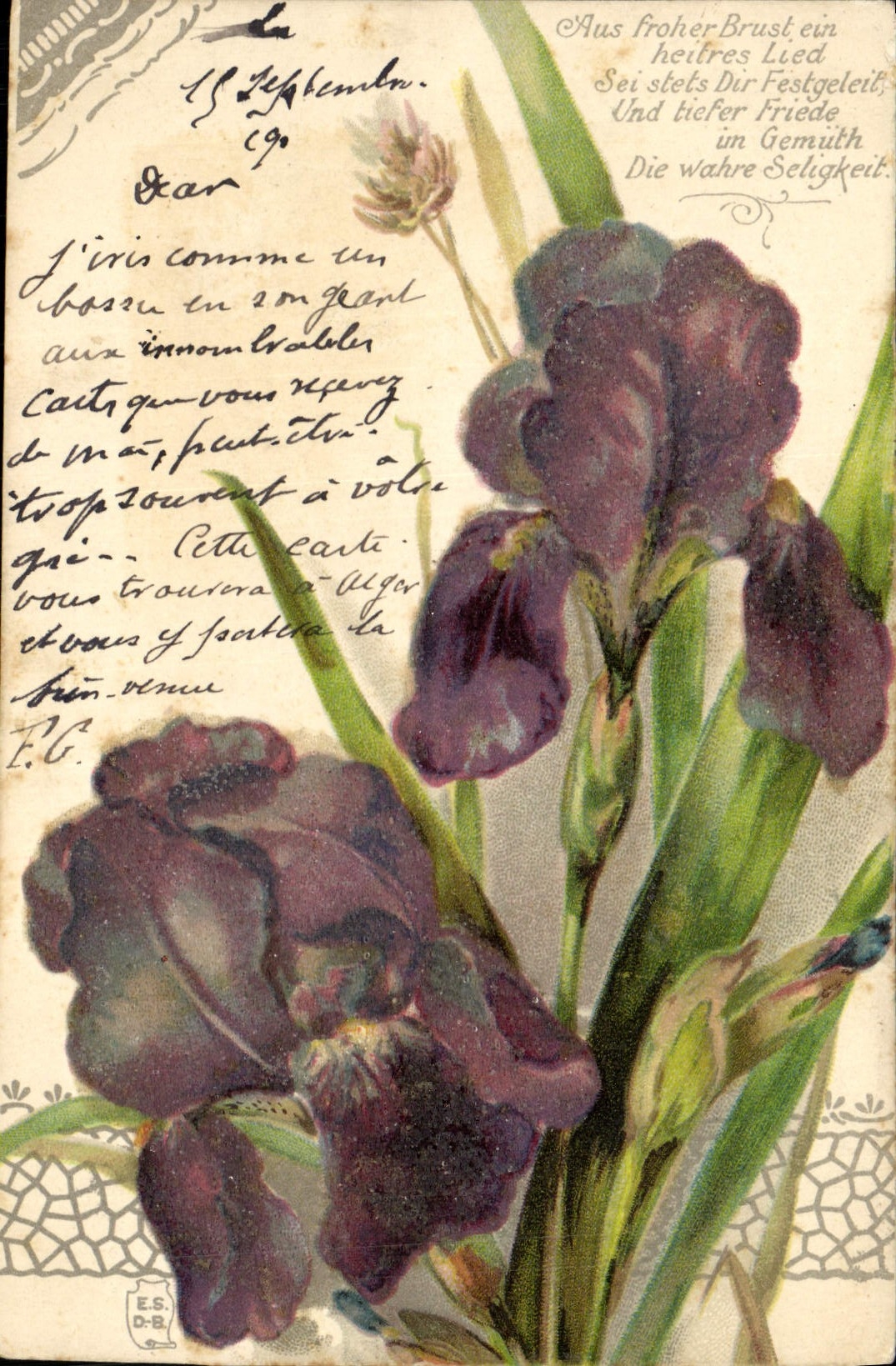 Iris — carte postale illustrée — éditeur non identifié