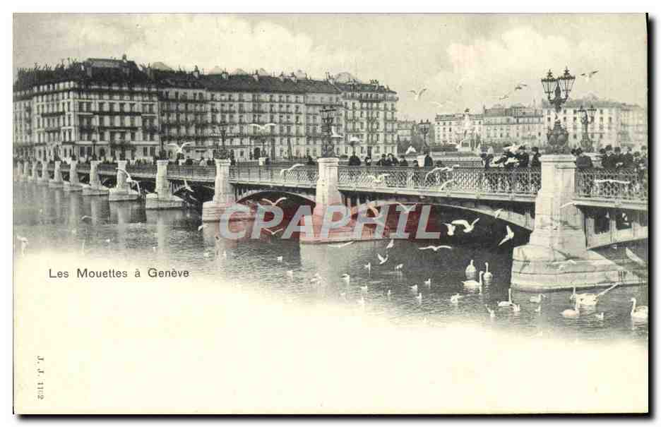 CPA Les Mouettes A Geneve