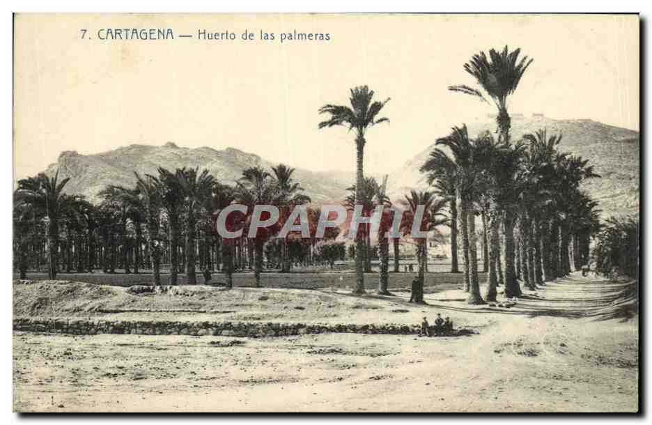 CPA Cartagena Huerto De Las Palmeras Palmiers