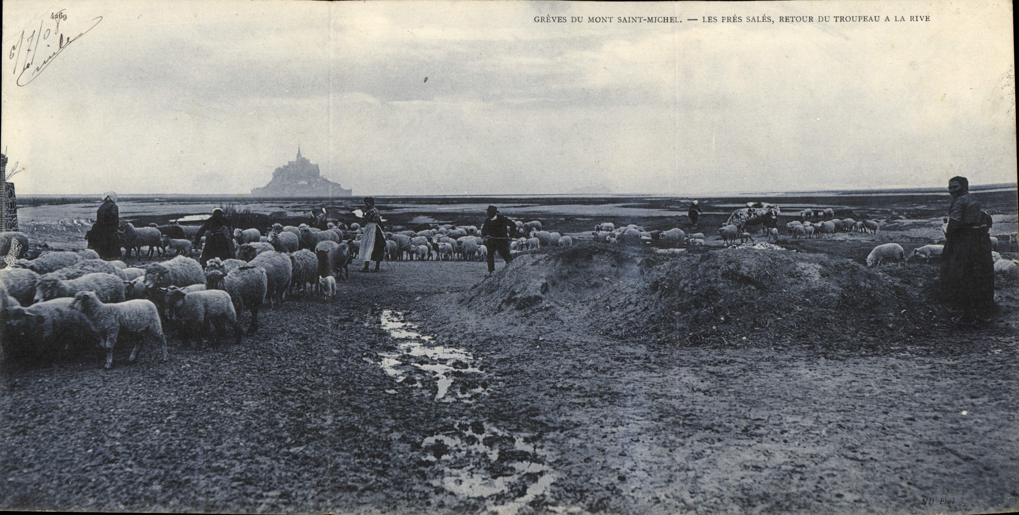 Grèves del Mont-Saint-Michel — Los prados salados, regreso del rebaño a la orilla — Tarjeta postal de la casa Carte Anor