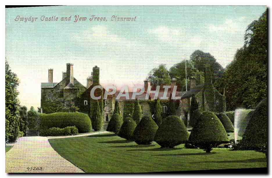 CPA Gwydyr Castle And Yew Trees Llanrwst