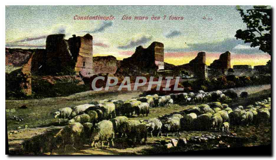CPA Constantinople Les Murs Des 7 fours Moutons Turquie
