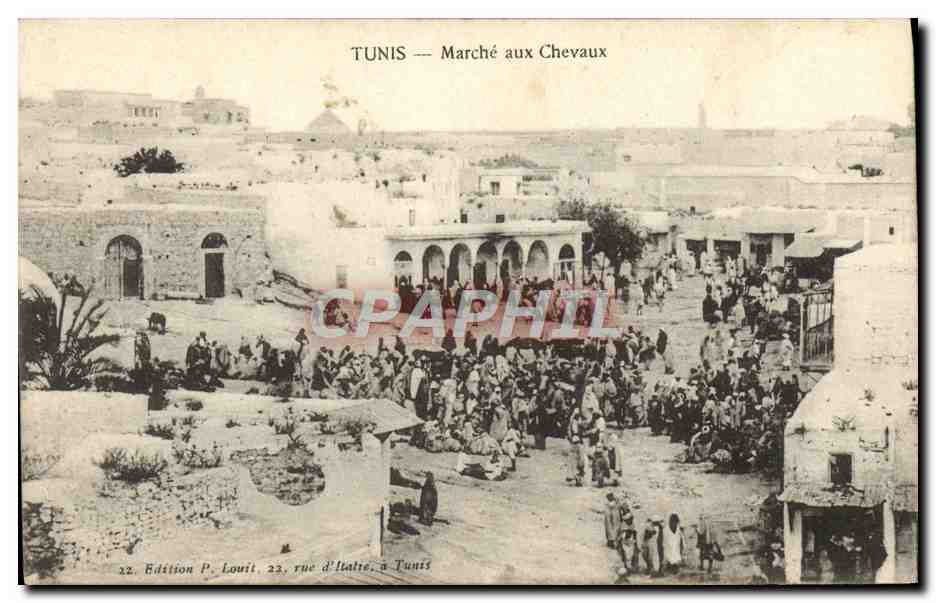 CPA Tunis Marche Aux Chevaux