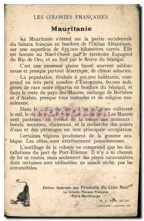Fiche Colonies Francaises La Mauritanie Chameaux — Rückseite