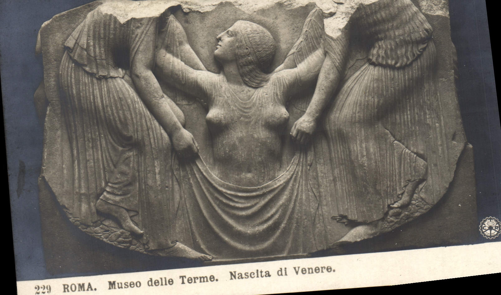 CPA Roma Museo delle Terme Naselta di Venere