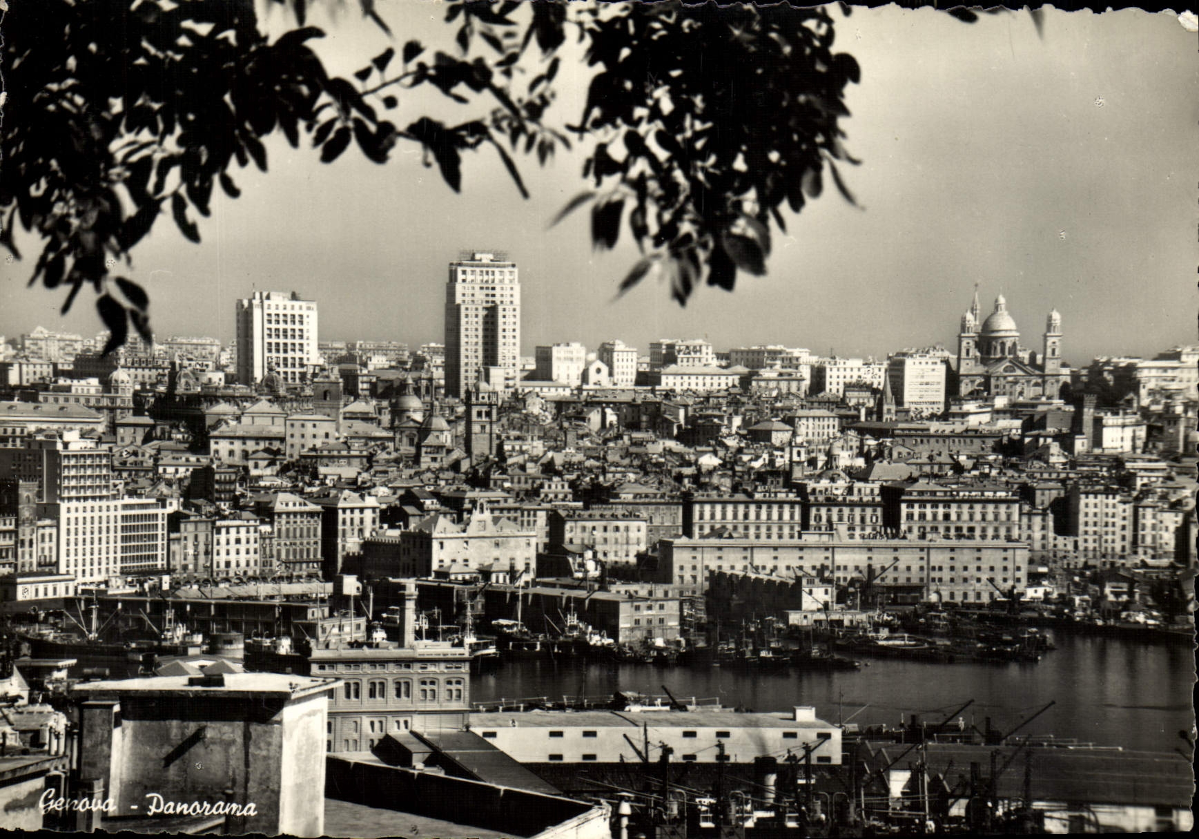 CPM Genova panorama