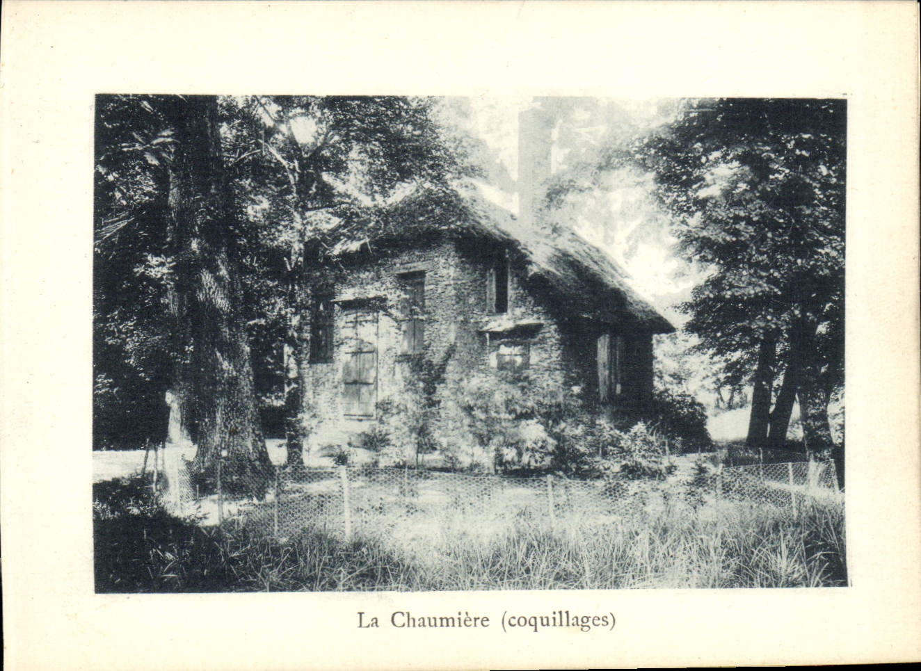 Antike Ansichtskarte Rambouillet La Chaumiere Coquillages