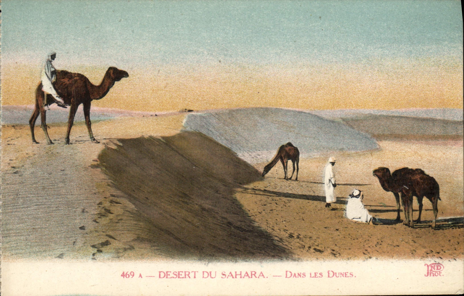 CPA Desert Du Sahara Dans les dunes Chameaux