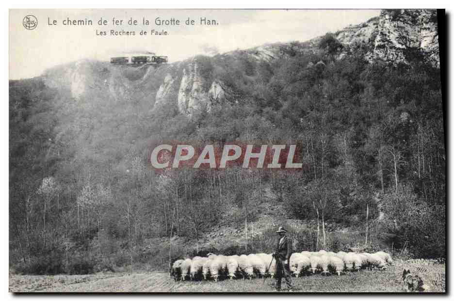 CPA Le Chemin de Fer de la Grotte de Han Les rochers de la Faule Berger Moutons Chien 