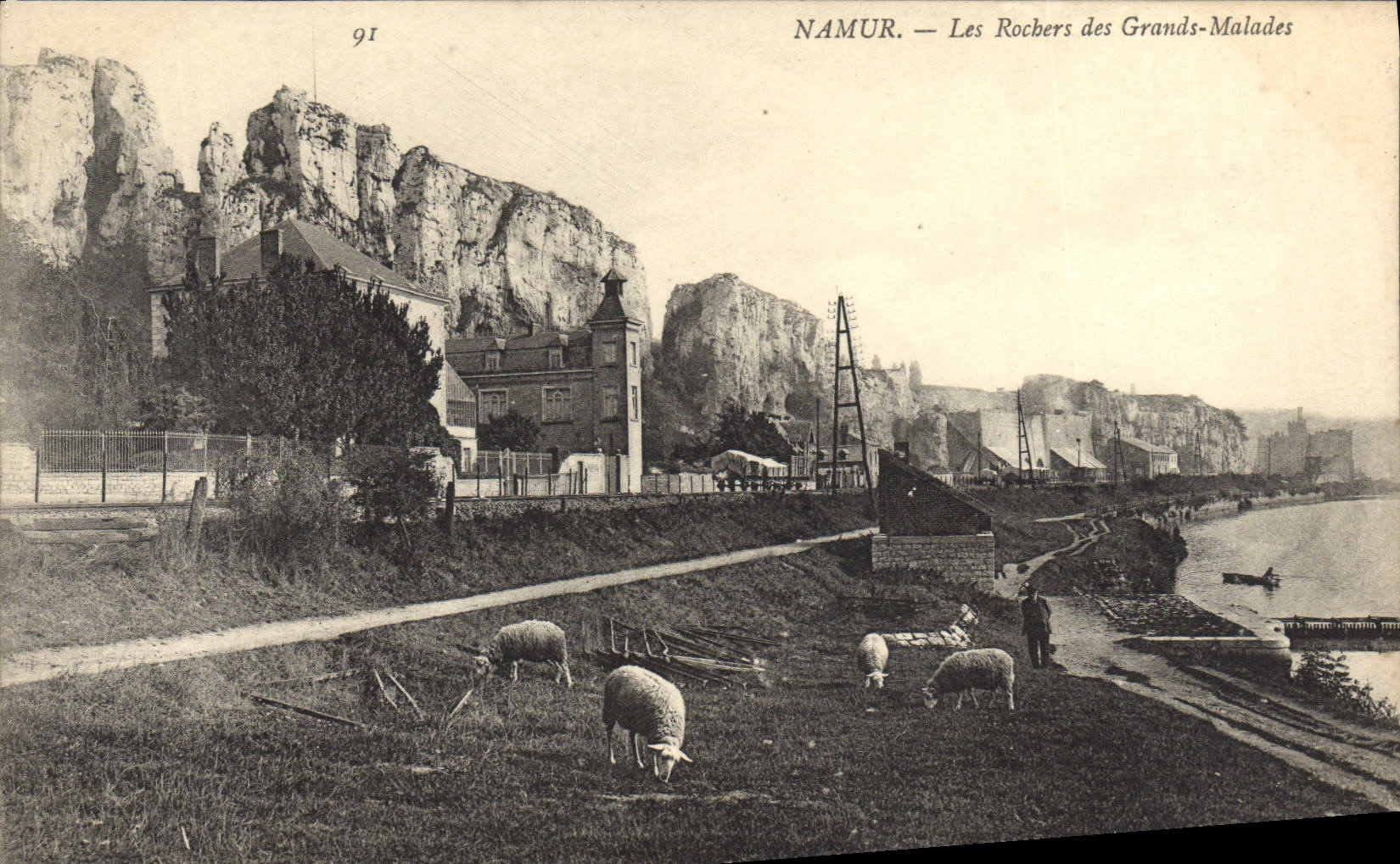 CPA Namur Les Rochers des Grands Malades Moutons