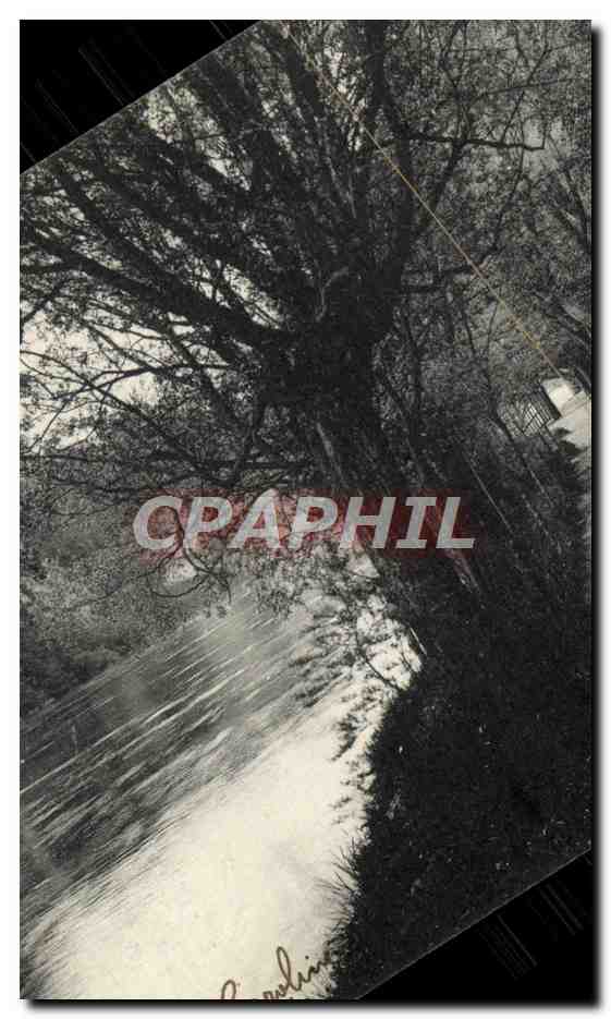 CPA Geneve Le sentier des saules