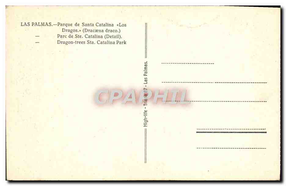CPA Las Palmas Parque de Santa Catalina Los Dragos  — Back