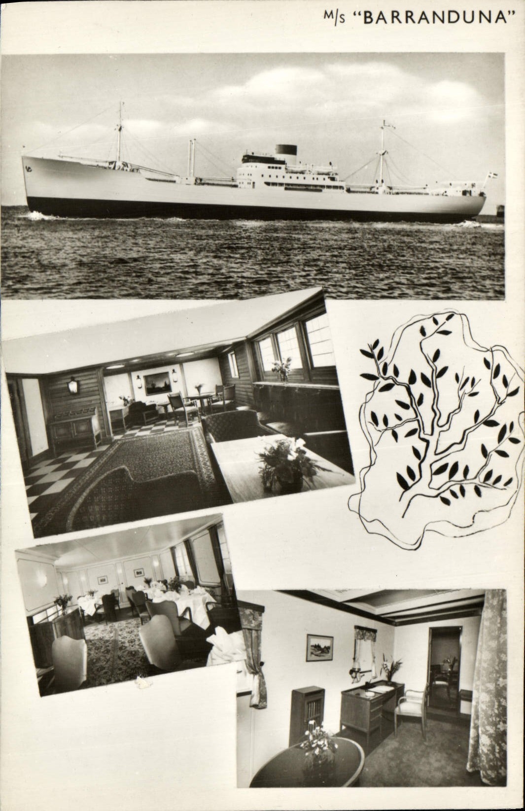 M/s "Barranduna" — navire cargo et intérieurs — Rédéria Aktiebolaget Transatlantic