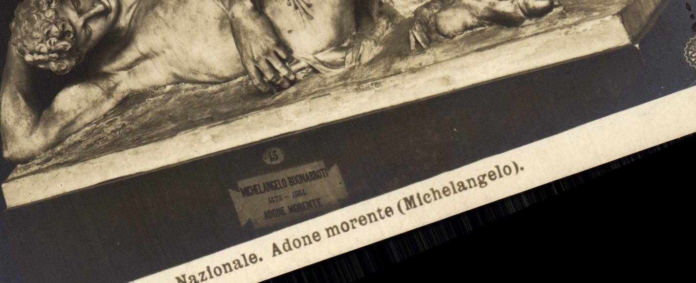 CPA Firenze Museo Nazionale Adone morente Michemangelo