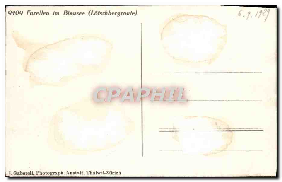 CPA Forellen Im Blausee Lotschbergroute Poissons — Verso